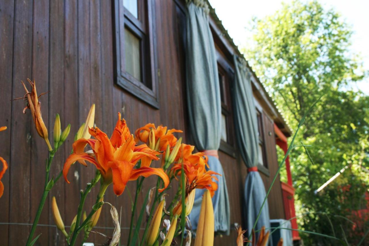 El Sendero - Gueiraldes B&B Сан-Антонио-де-Ареко Экстерьер фото